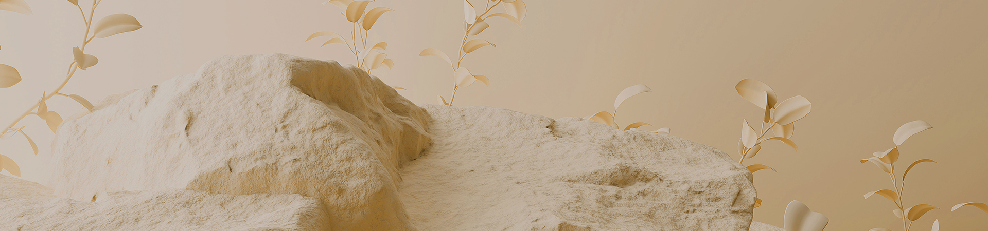 아름다움의 시작